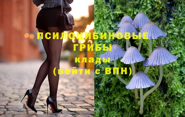 мескалин Арсеньев