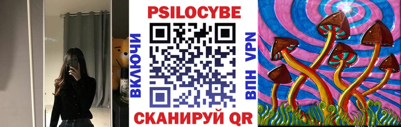 Псилоцибиновые грибы прущие грибы  Ельня 
